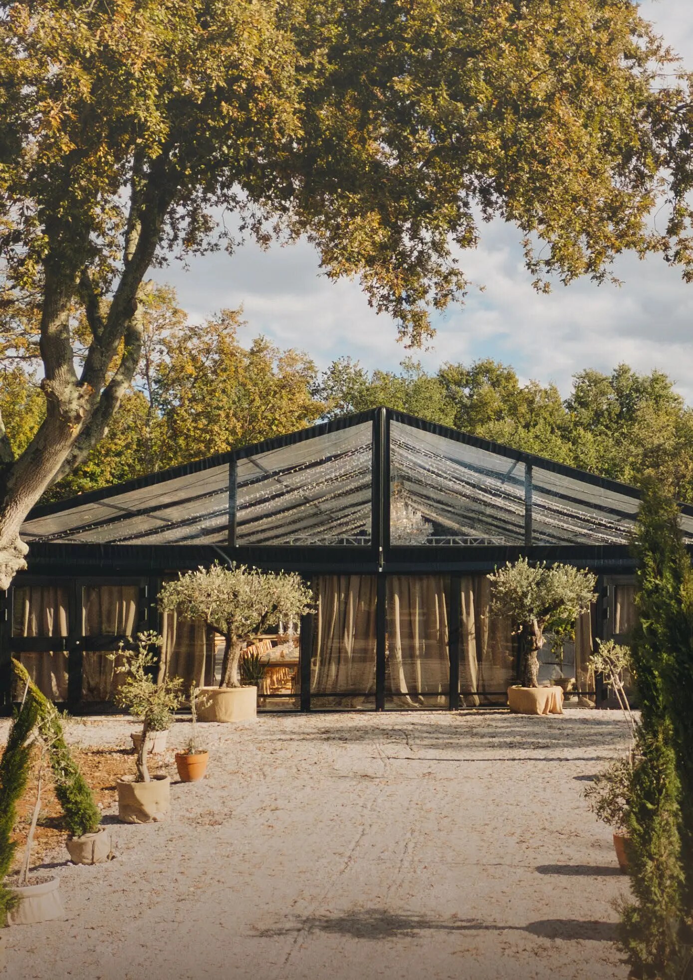 D'Orangerie event venue exterior among olive trees