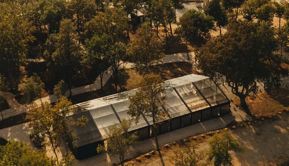 D'Orangerie with its transparent roof surrounded by trees